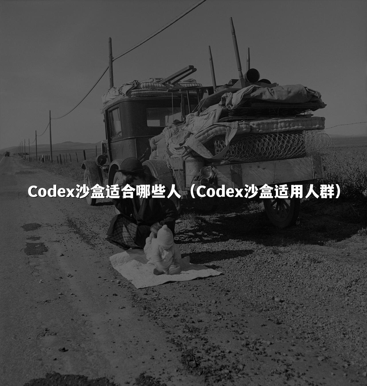 Codex沙盒适合哪些人（Codex沙盒适用人群）