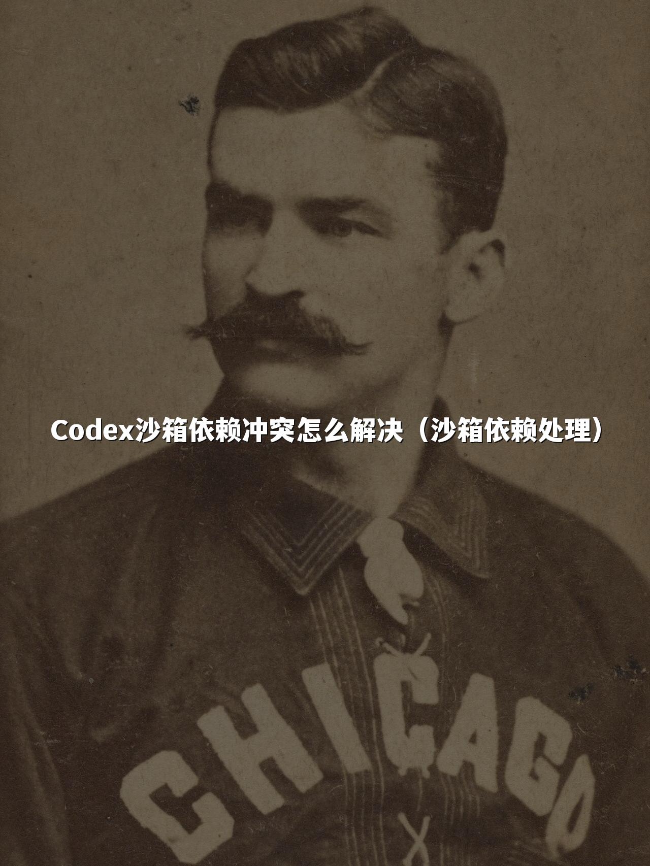 Codex沙箱依赖冲突怎么解决(沙箱依赖处理)