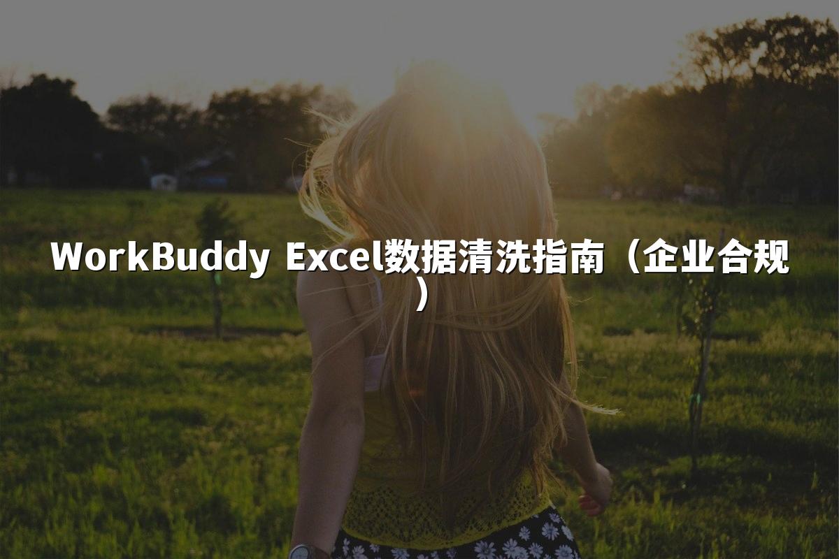 WorkBuddy Excel数据清洗指南(企业合规)