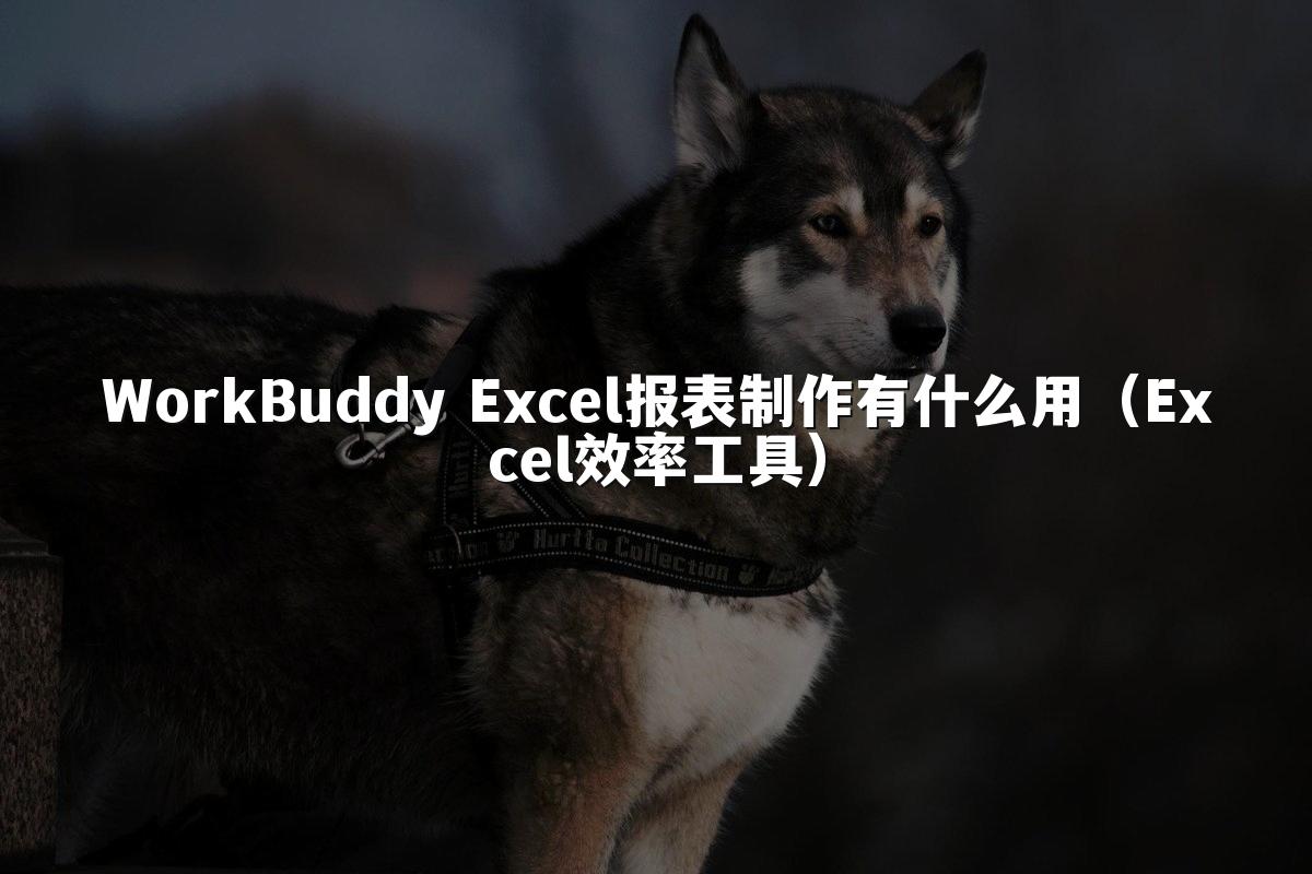 WorkBuddy Excel报表制作有什么用(Excel效率工具)