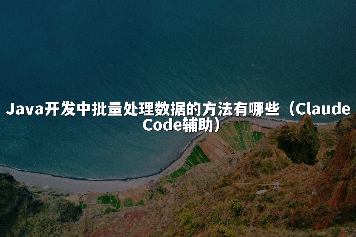 Java开发中批量处理数据的方法有哪些（Claude Code辅助）