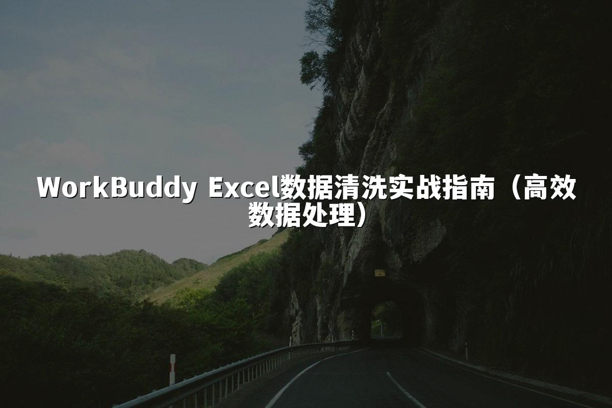 WorkBuddy Excel数据清洗实战指南（高效数据处理）