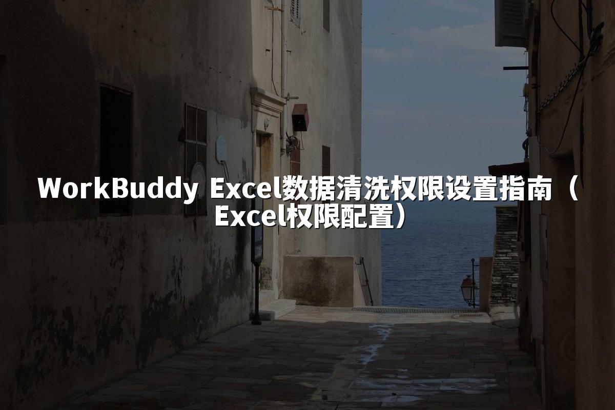 WorkBuddy Excel数据清洗权限设置指南(Excel权限配置)