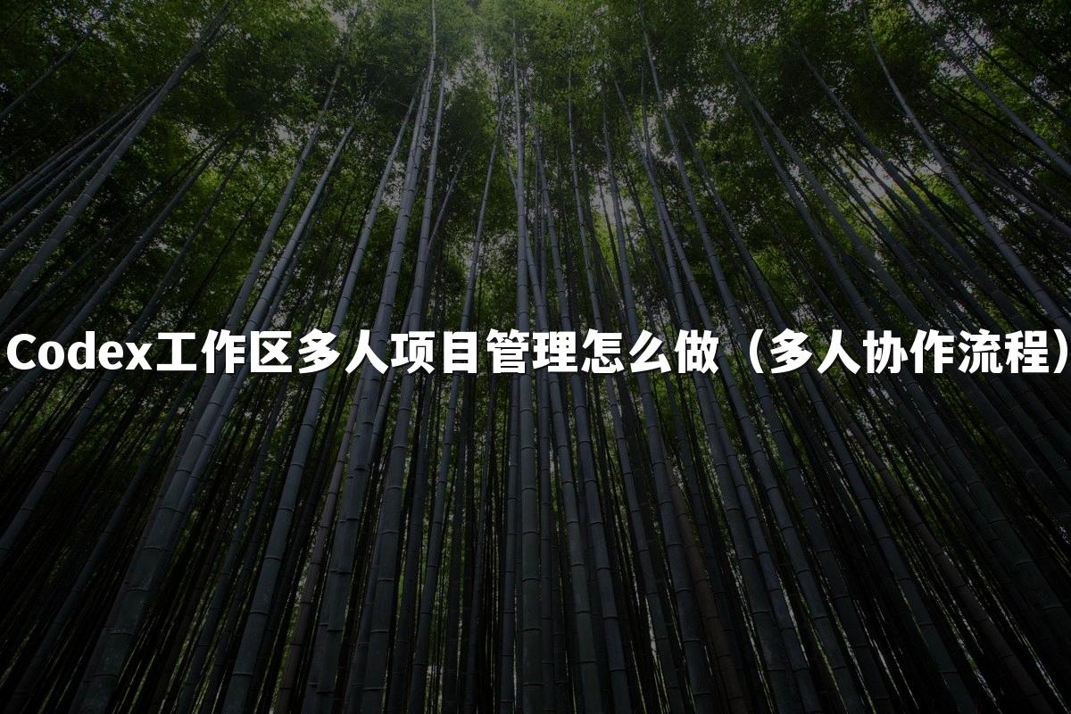 Codex工作区多人项目管理怎么做(多人协作流程)