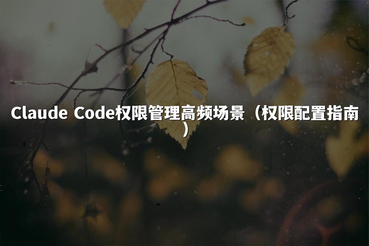 Claude Code权限管理高频场景（权限配置指南）
