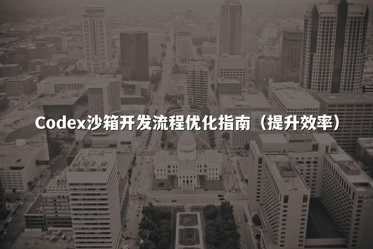 Codex沙箱开发流程优化指南(提升效率)