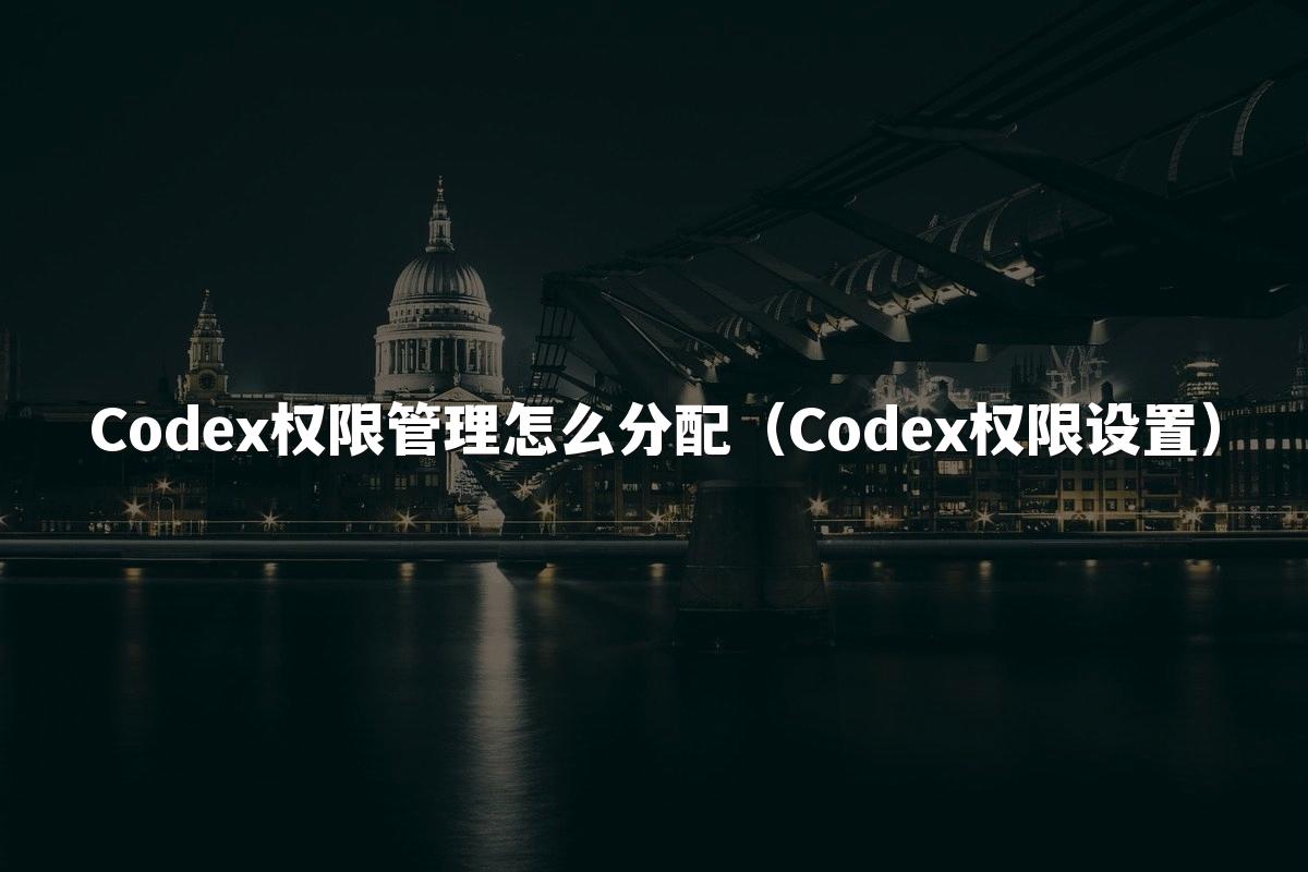 Codex权限管理怎么分配（Codex权限设置）