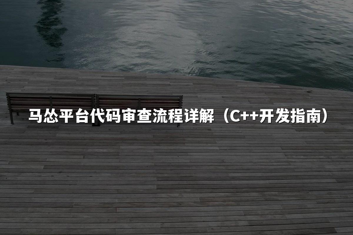 马怂平台代码审查流程详解（C++开发指南）