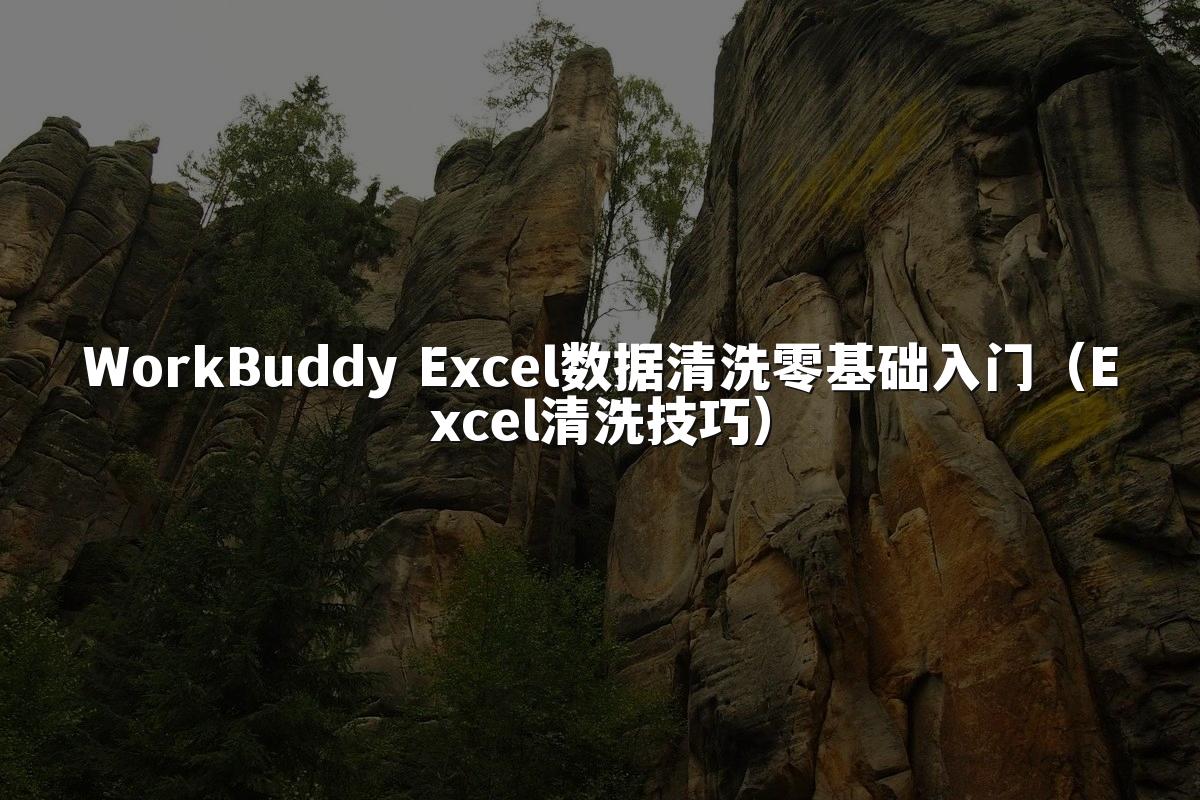 WorkBuddy Excel数据清洗零基础入门(Excel清洗技巧)