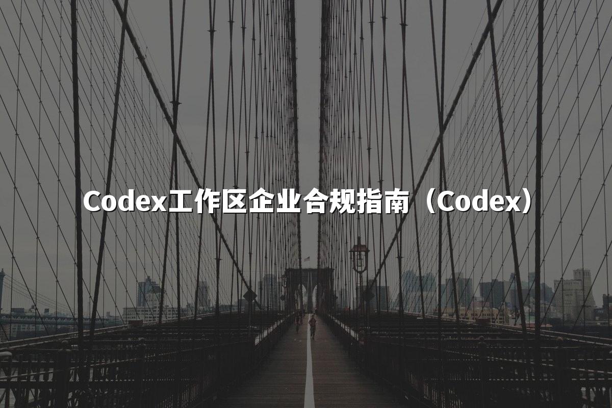 Codex工作区企业合规指南(Codex)
