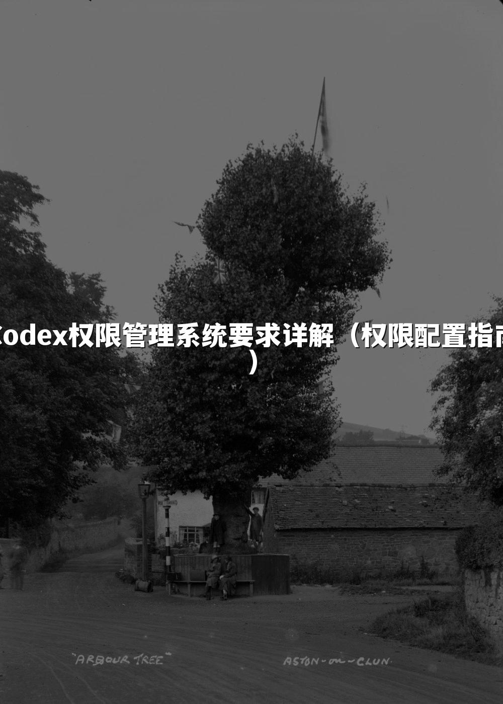 Codex权限管理系统要求详解（权限配置指南）
