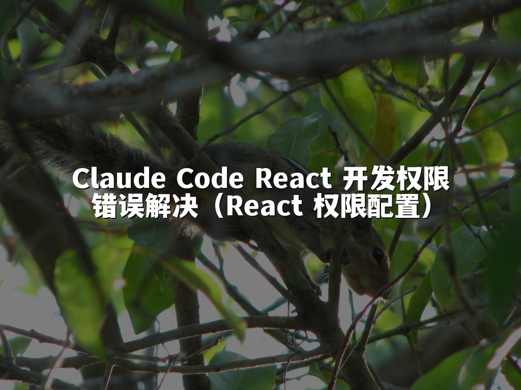 Claude Code React 开发权限错误解决(React 权限配置)