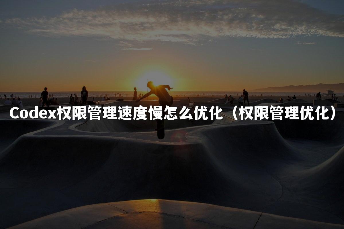 Codex权限管理速度慢怎么优化(权限管理优化)