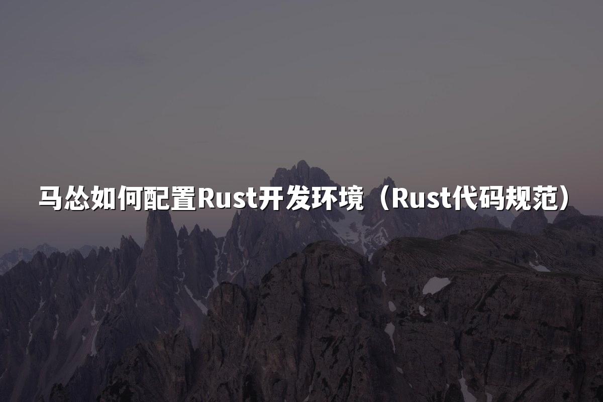 马怂如何配置Rust开发环境（Rust代码规范）