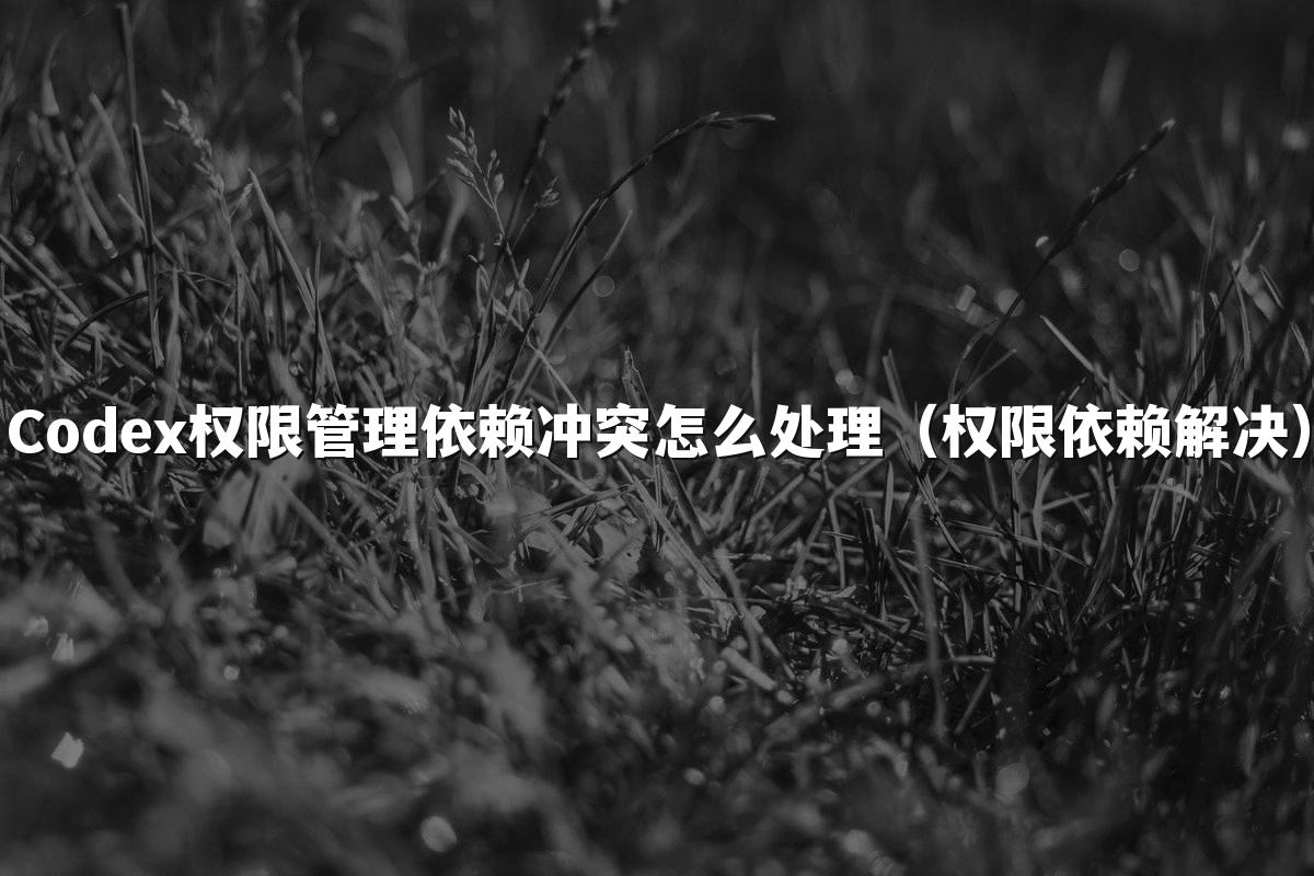 Codex权限管理依赖冲突怎么处理（权限依赖解决）
