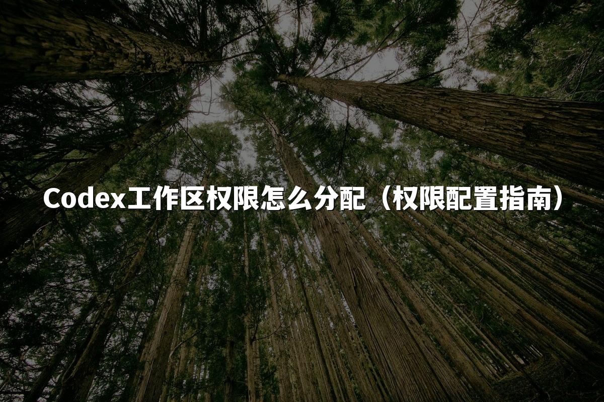 Codex工作区权限怎么分配（权限配置指南）