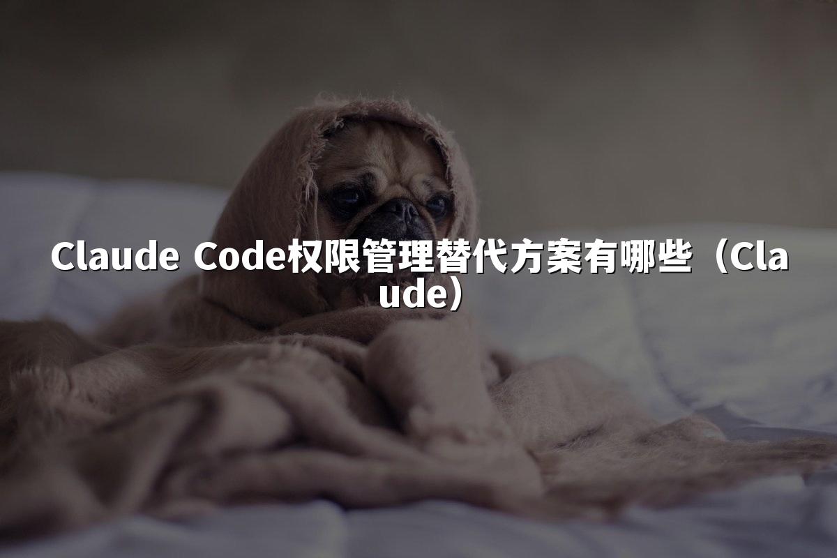 Claude Code权限管理替代方案有哪些(Claude)