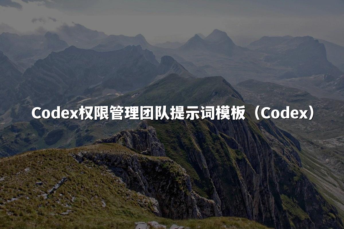 Codex权限管理团队提示词模板（Codex）