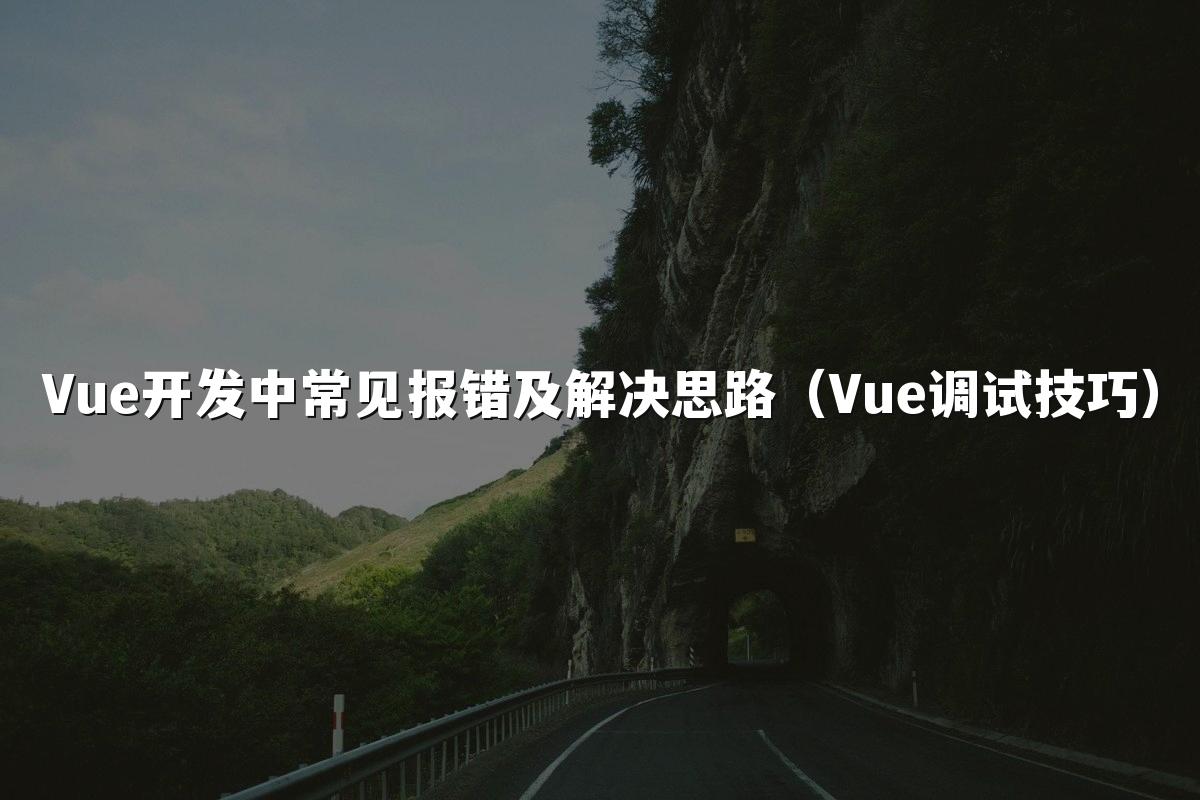 Vue开发中常见报错及解决思路（Vue调试技巧）