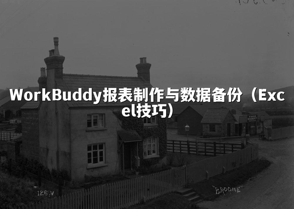 WorkBuddy报表制作与数据备份（Excel技巧）