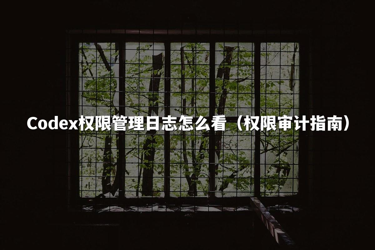 Codex权限管理日志怎么看（权限审计指南）
