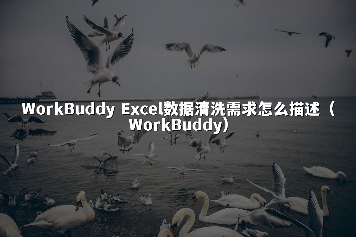 WorkBuddy Excel数据清洗需求怎么描述(WorkBuddy)