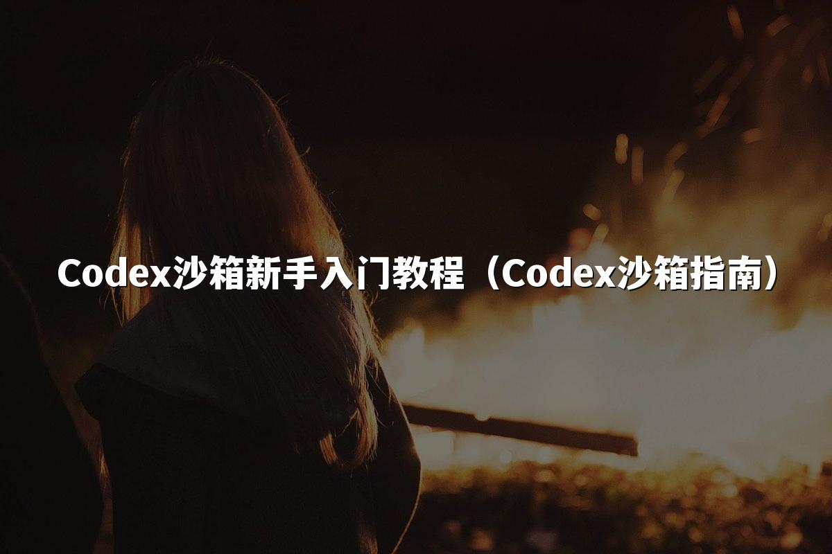 Codex沙箱新手入门教程（Codex沙箱指南）