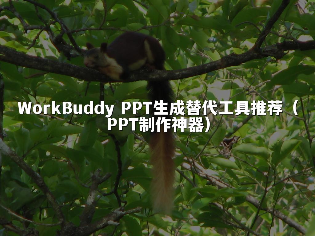 WorkBuddy PPT生成替代工具推荐(PPT制作神器)