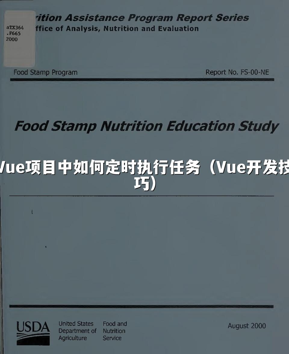 Vue项目中如何定时执行任务（Vue开发技巧）