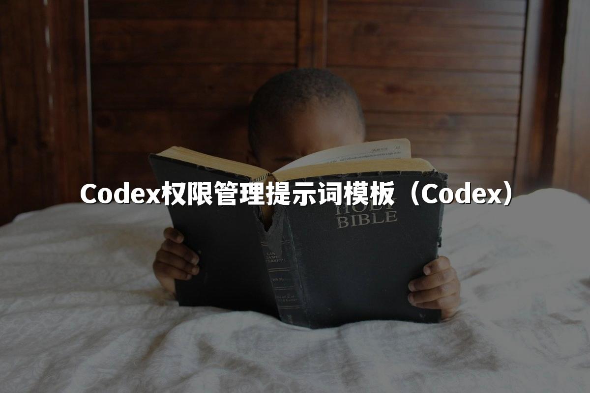 Codex权限管理提示词模板（Codex）