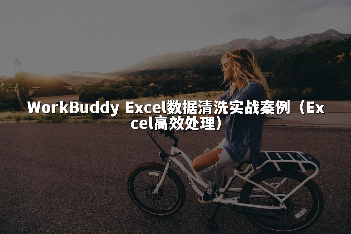 WorkBuddy Excel数据清洗实战案例(Excel高效处理)