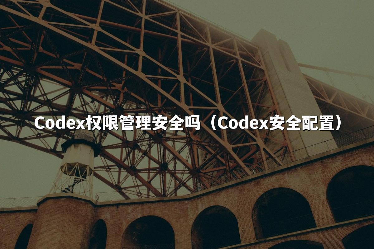 Codex权限管理安全吗(Codex安全配置)