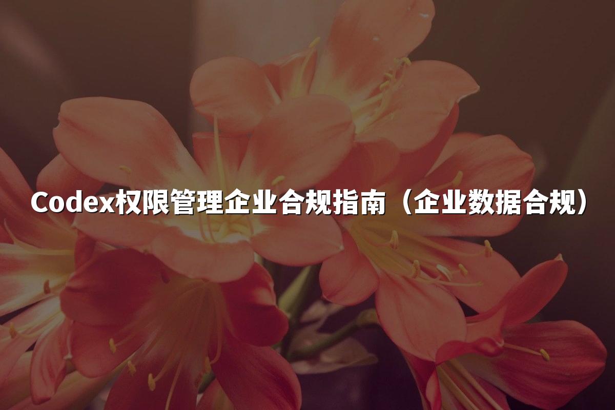 Codex权限管理企业合规指南（企业数据合规）