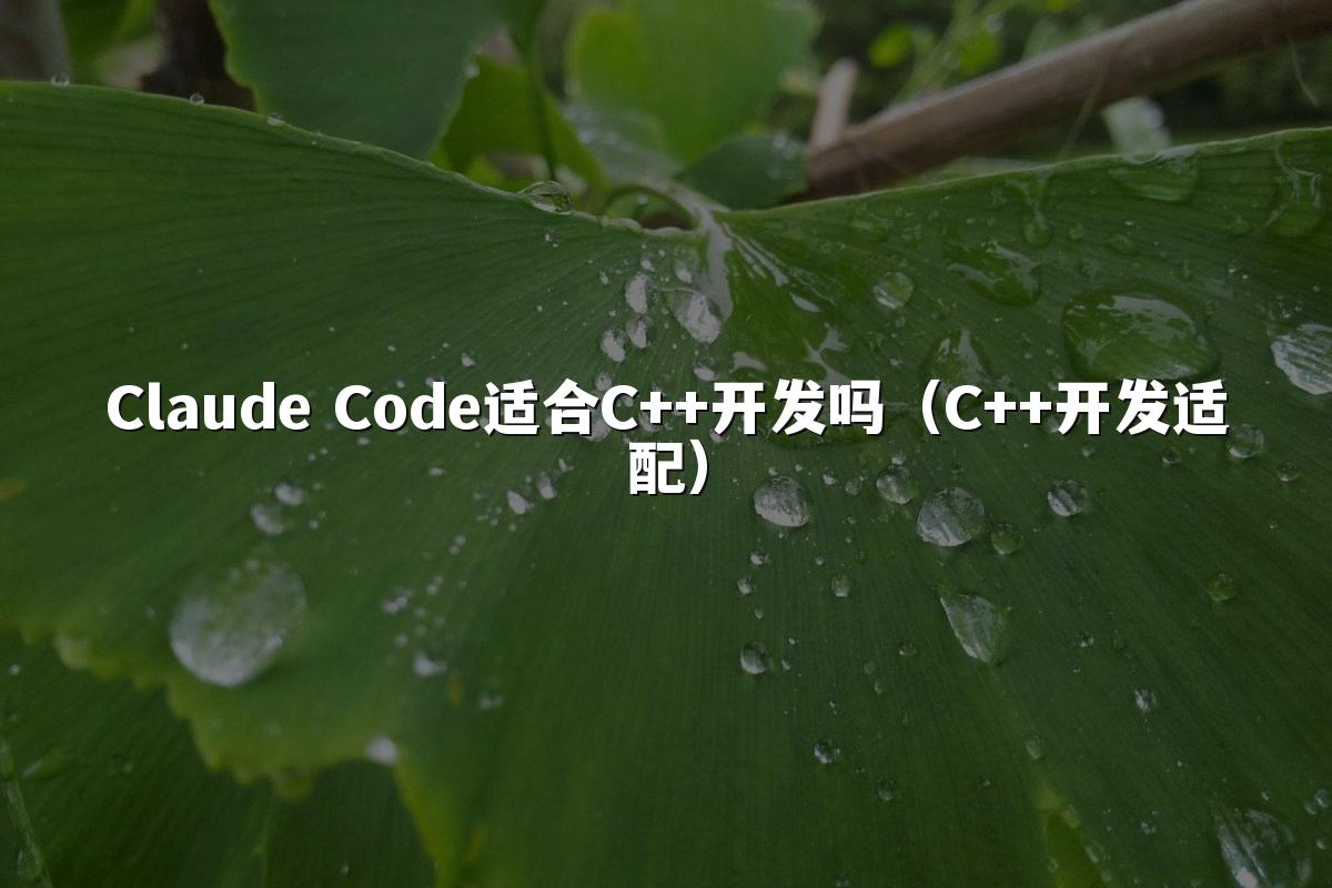 Claude Code适合C++开发吗(C++开发适配)