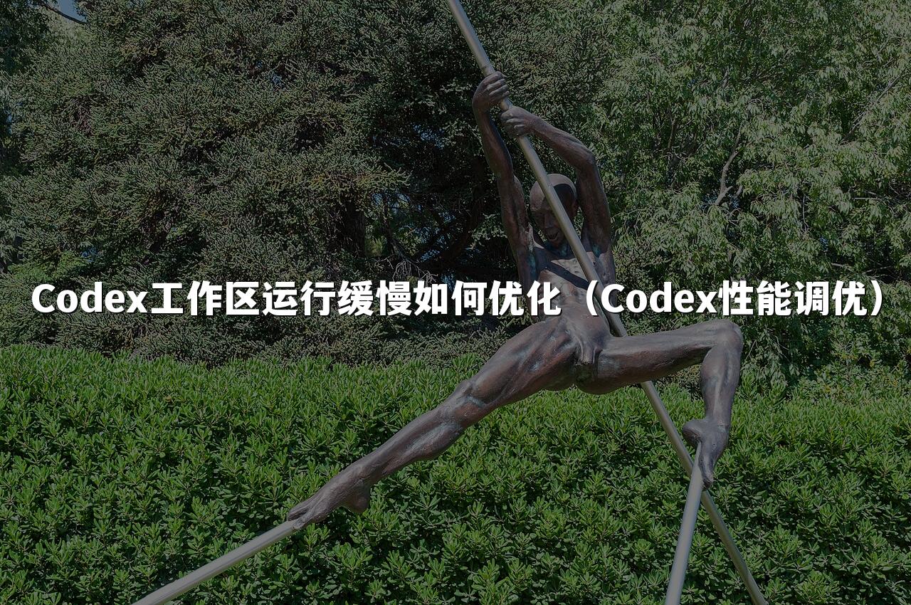 Codex工作区运行缓慢如何优化（Codex性能调优）