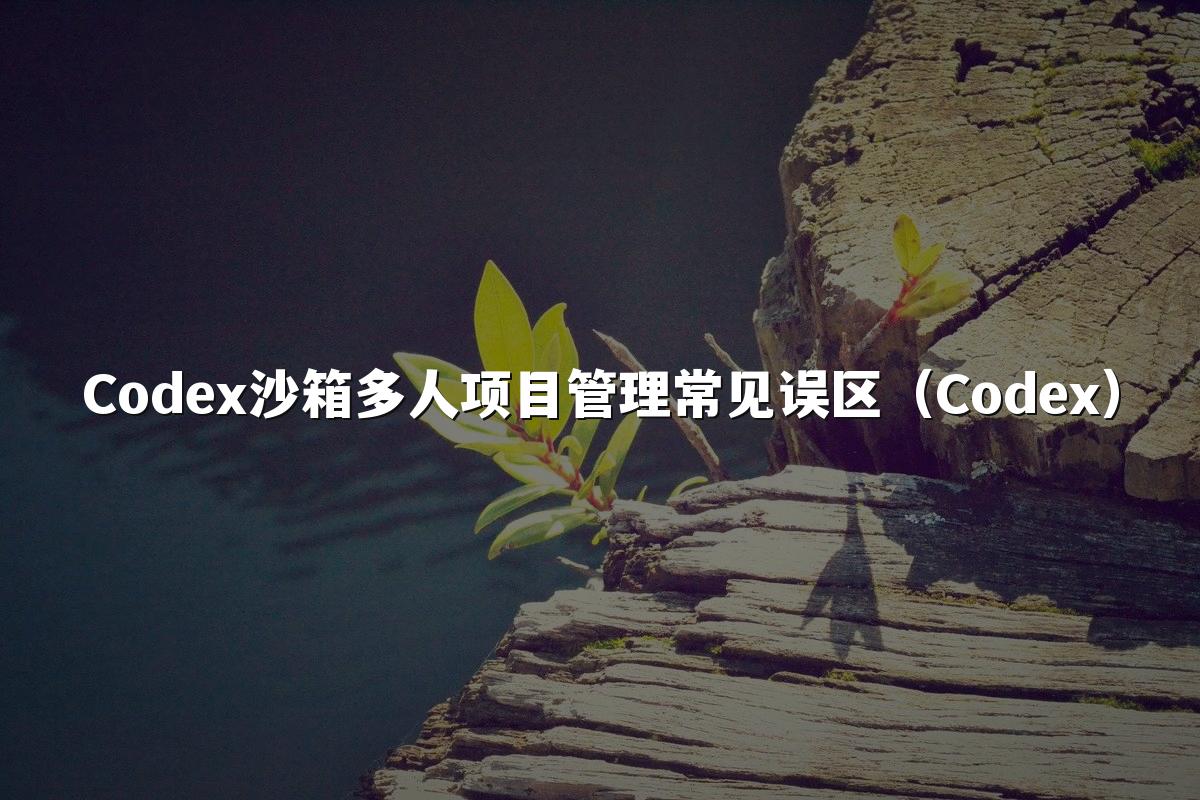 Codex沙箱多人项目管理常见误区(Codex)