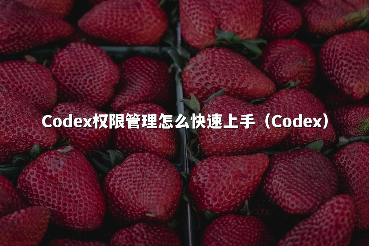 Codex权限管理怎么快速上手（Codex）