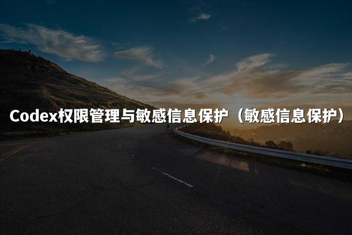 Codex权限管理与敏感信息保护（敏感信息保护）