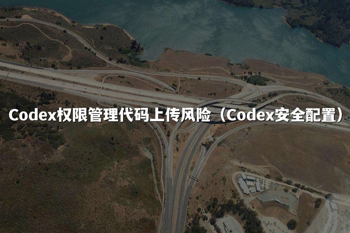 Codex权限管理代码上传风险（Codex安全配置）