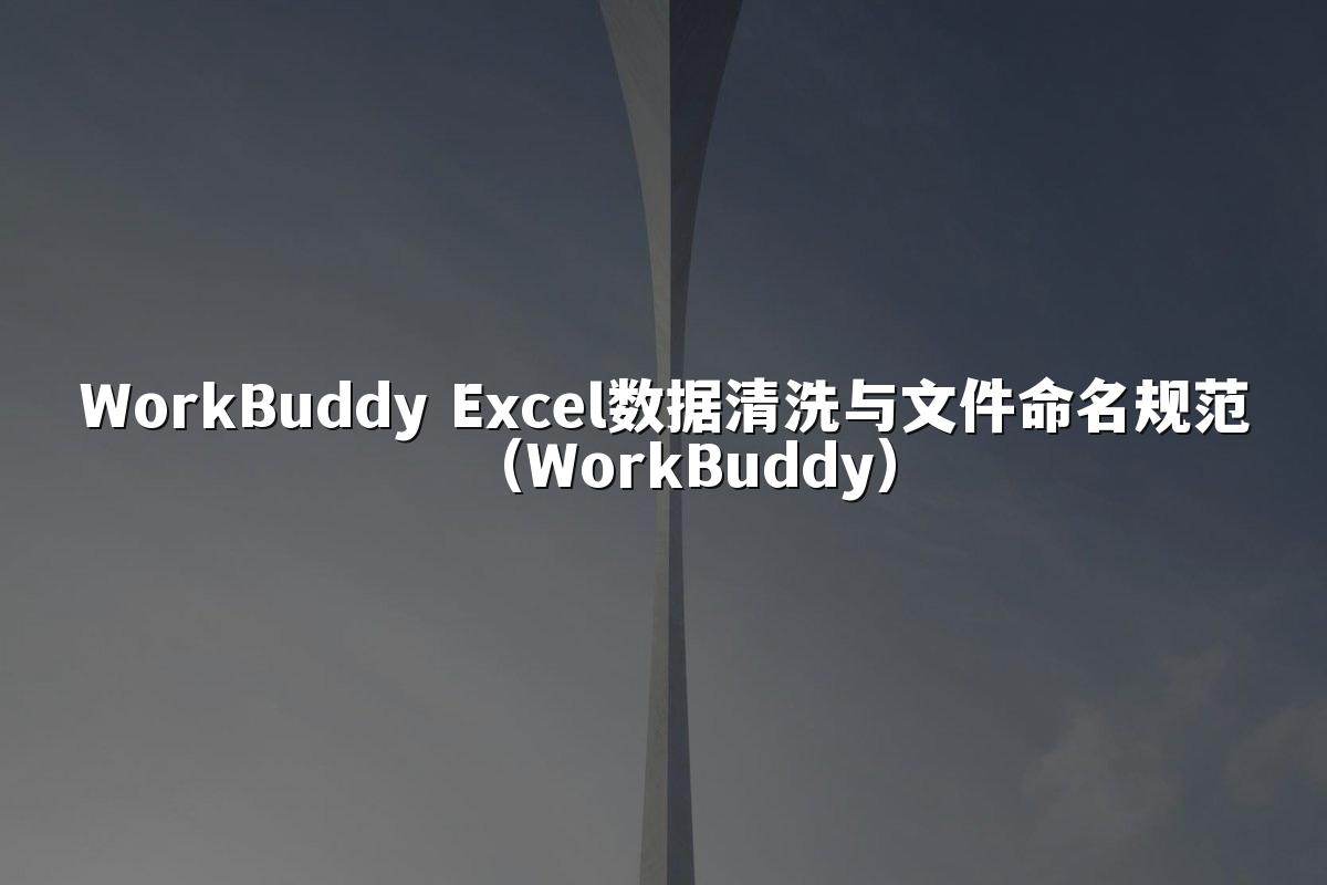 WorkBuddy Excel数据清洗与文件命名规范（WorkBuddy）