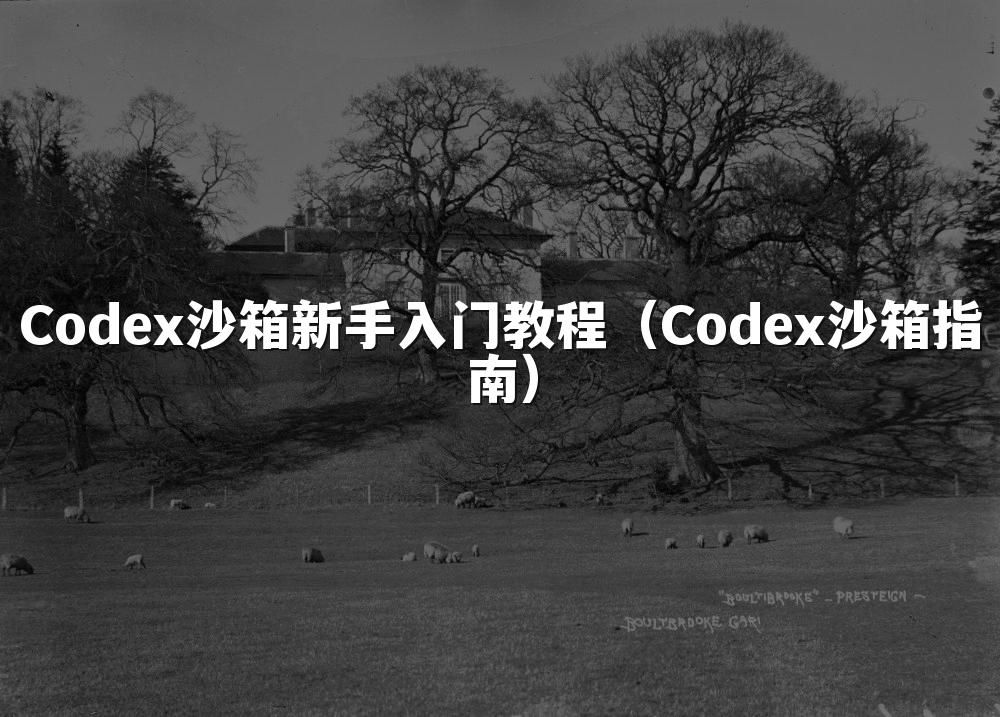 Codex沙箱新手入门教程（Codex沙箱指南）