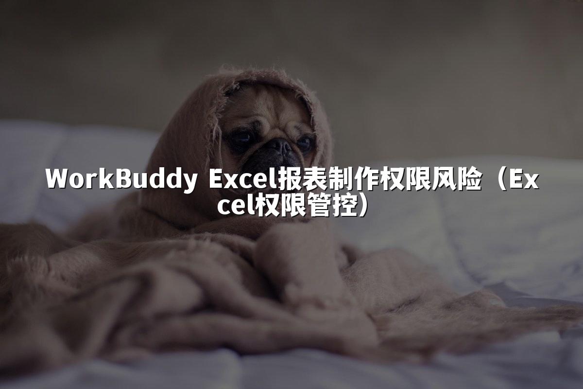 WorkBuddy Excel报表制作权限风险(Excel权限管控)