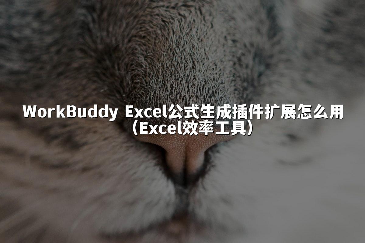 WorkBuddy Excel公式生成插件扩展怎么用（Excel效率工具）