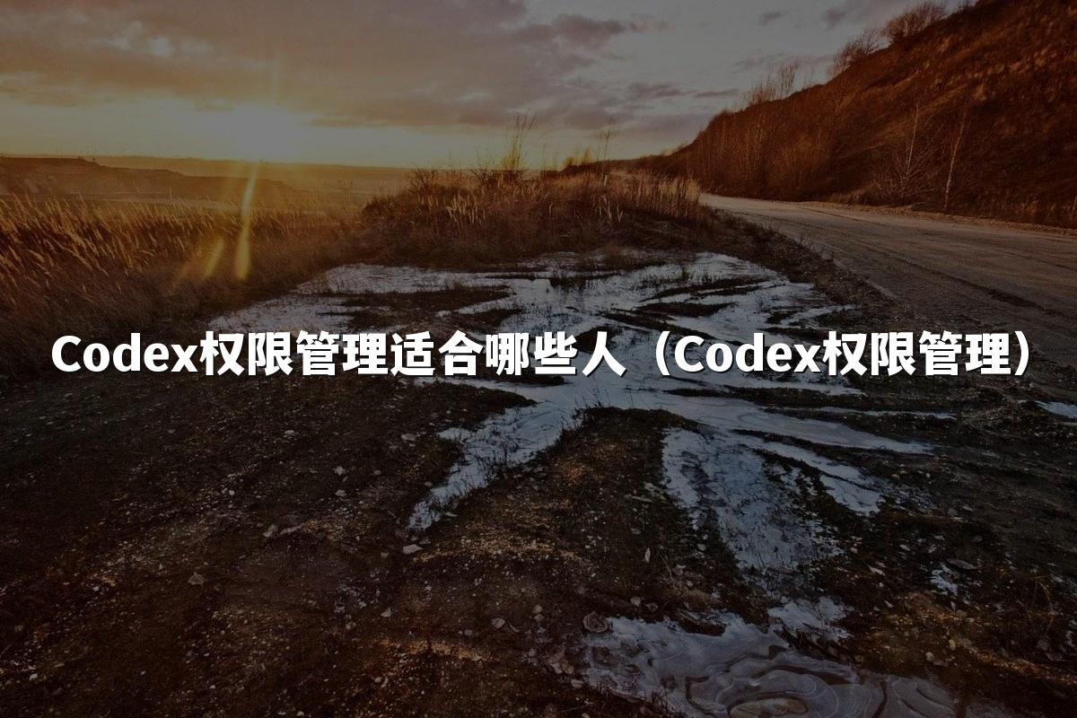 Codex权限管理适合哪些人（Codex权限管理）