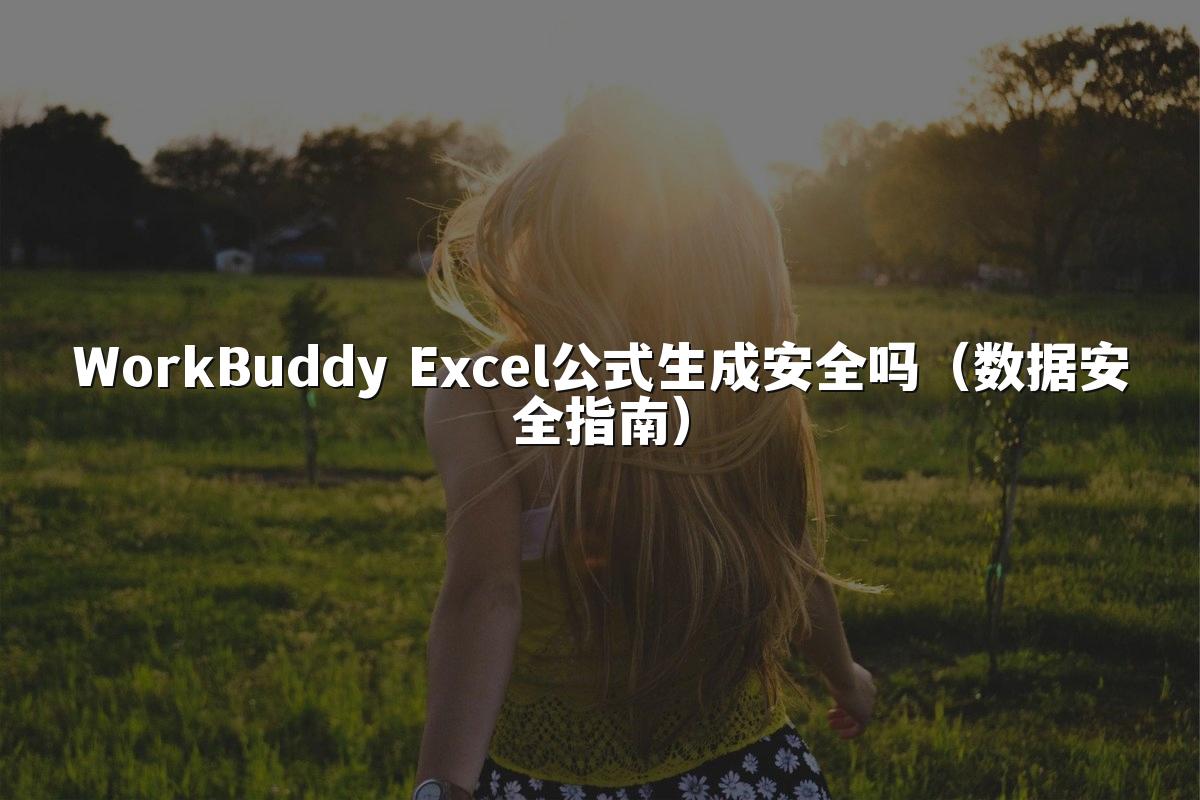 WorkBuddy Excel公式生成安全吗（数据安全指南）