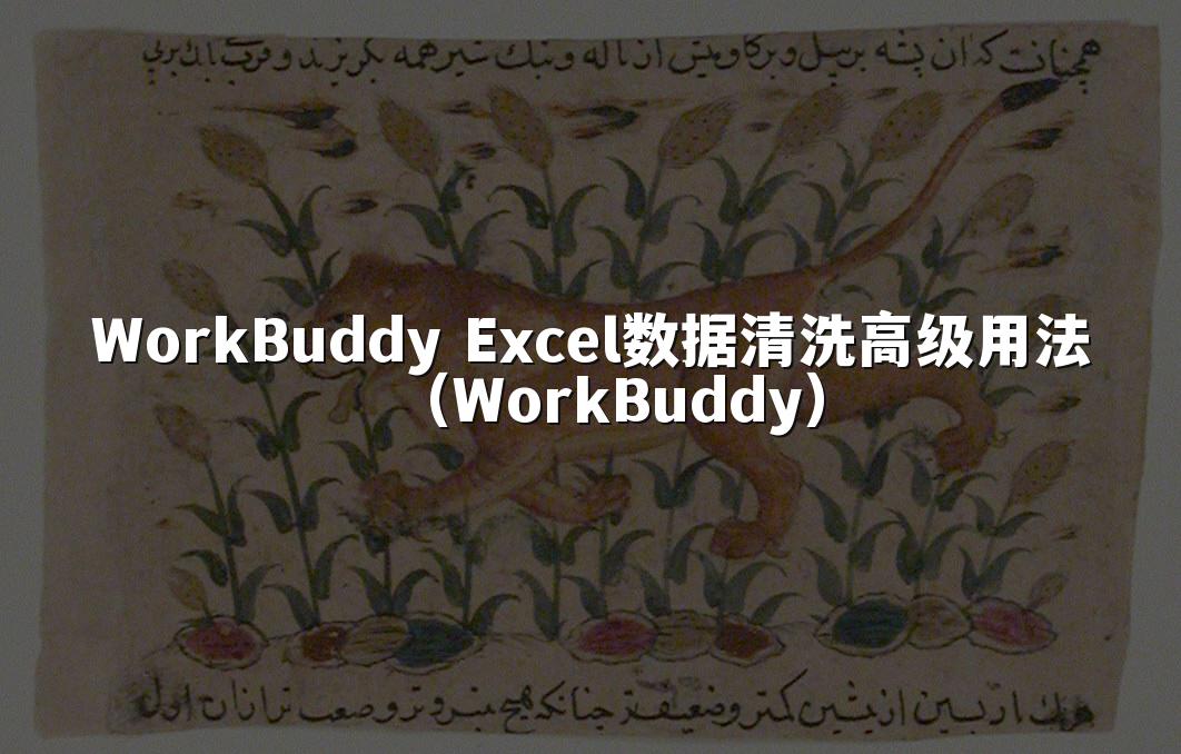 WorkBuddy Excel数据清洗高级用法（WorkBuddy）