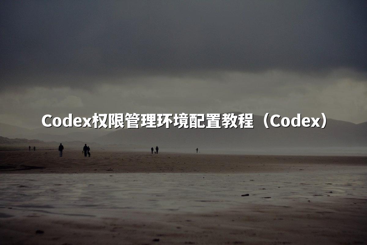 Codex权限管理环境配置教程（Codex）