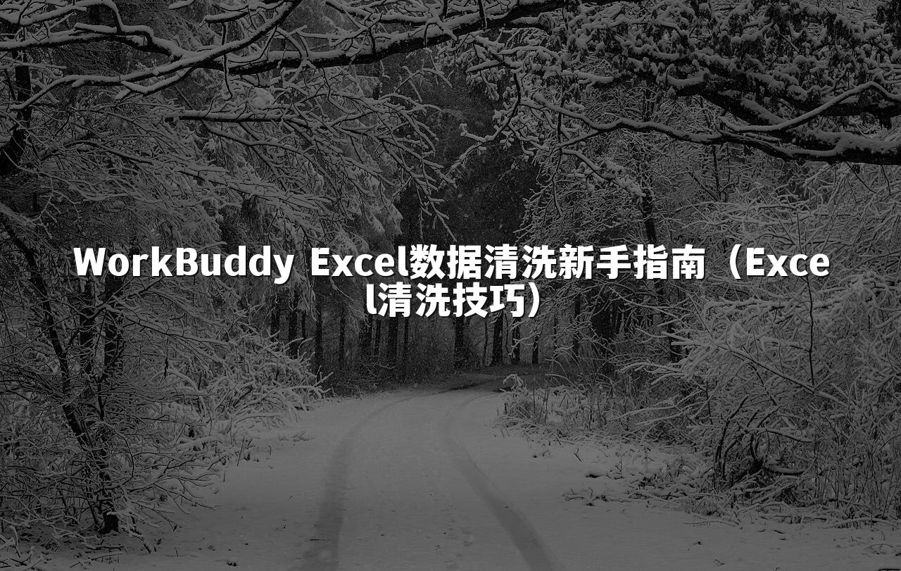 WorkBuddy Excel数据清洗新手指南(Excel清洗技巧)