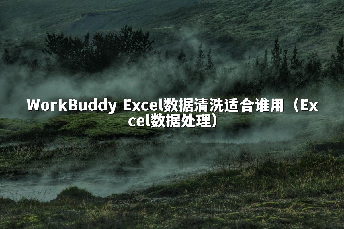 WorkBuddy Excel数据清洗适合谁用（Excel数据处理）