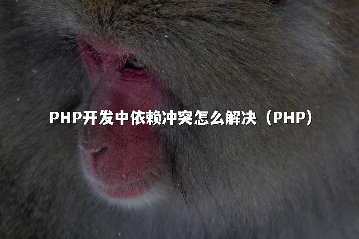 PHP开发中依赖冲突怎么解决（PHP）